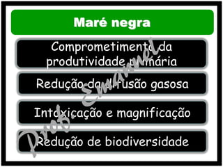 Maré negra
Comprometimento da
produtividade primária

Redução da difusão gasosa
Intoxicação e magnificação
Redução de biodiversidade

 