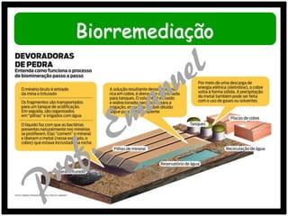 Biorremediação

 