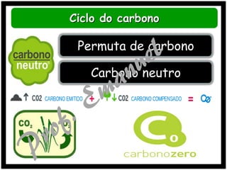 Ciclo do carbono

Permuta de carbono

Carbono neutro

 