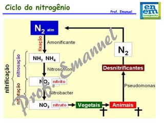 Ciclo do nitrogênio

Prof. Emanuel

 