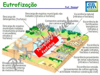 Eutrofização

Prof. Emanuel

 