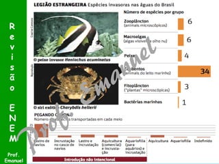 R
e
v
i
s
ã
o
E
N
E
M
Prof.
Emanuel

 