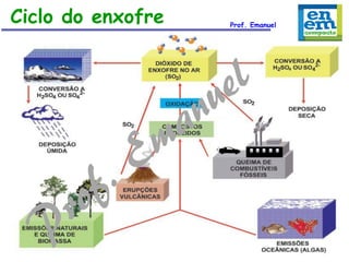 Ciclo do enxofre

Prof. Emanuel

 