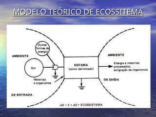 MODELO TEÓRICO DE ECOSSITEMA
MODELO TEÓRICO DE ECOSSITEMA
 
