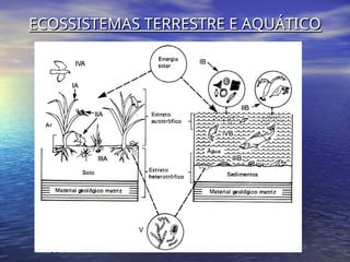 ECOSSISTEMAS TERRESTRE E AQUÁTICO
ECOSSISTEMAS TERRESTRE E AQUÁTICO
 