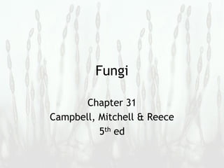 Fungi
Chapter 31
Campbell, Mitchell & Reece
5th ed
 