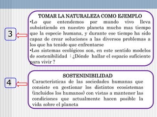 TOMAR LA NATURALEZA COMO EJEMPLO
•Lo que entendemos por mundo vivo lleva
subsistiendo en nuestro planeta mucho mas tiempo
que la especie humana, y durante ese tiempo ha sido
capaz de crear soluciones a las diversos problemas a
los que ha tenido que enfrentarse
•Los sistemas ecológicos son, en este sentido modelos
de sostenibilidad : ¿Dónde hallar el espacio suficiente
para vivir ?
SOSTENINIBILIDAD
Características de las sociedades humanas que
consiste en gestionar los distintos ecosistemas
(incluidos los humanos) con vistas a mantener las
condiciones que actualmente hacen posible la
vida sobre el planeta
3
4
 