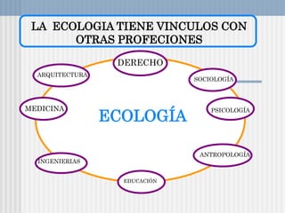 ECOLOGÍA
EDUCACIÓN
ANTROPOLOGÍA
PSICOLOGÍA
INGENIERIAS
MEDICINA
ARQUITECTURA
SOCIOLOGÍA
DERECHO
LA ECOLOGIA TIENE VINCULOS CON
OTRAS PROFECIONES
 