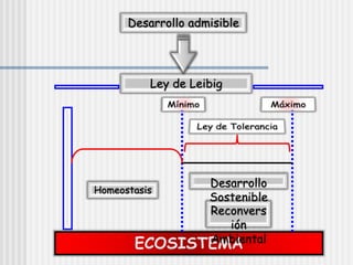 ECOSISTEMA
Desarrollo admisible
Ley de Leibig
Homeostasis
Desarrollo
Sostenible
Reconvers
ión
Ambiental
 