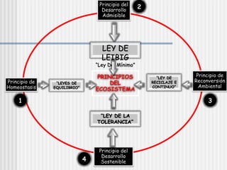 PRINCIPIOS
DEL
ECOSISTEMA
Principio de
Homeostasis
Principio del
Desarrollo
Admisible
Principio de
Reconversión
Ambiental
Principio del
Desarrollo
Sostenible
LEY DE
LEIBIG
“Ley Del Mínimo”
“LEYES DE
EQUILIBRIO”
“LEY DE
RECICLAJE E
CONTINUO”
“LEY DE LA
TOLERANCIA”
1
2
3
4
 