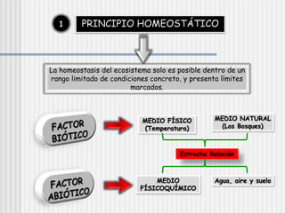 PRINCIPIO HOMEOSTÁTICO
1
La homeostasis del ecosistema solo es posible dentro de un
rango limitado de condiciones concreto, y presenta límites
marcados.
MEDIO FÍSICO
(Temperatura)
MEDIO NATURAL
(Los Bosques)
MEDIO
FÍSICOQUÍMICO
Agua, aire y suelo
Estrecha Relación
 
