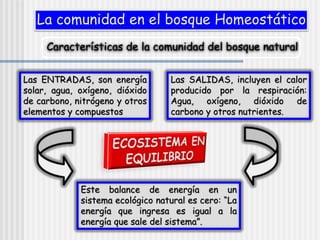 La comunidad en el bosque Homeostático
Características de la comunidad del bosque natural
Las ENTRADAS, son energía
solar, agua, oxígeno, dióxido
de carbono, nitrógeno y otros
elementos y compuestos
Las SALIDAS, incluyen el calor
producido por la respiración:
Agua, oxígeno, dióxido de
carbono y otros nutrientes.
Este balance de energía en un
sistema ecológico natural es cero: “La
energía que ingresa es igual a la
energía que sale del sistema”.
 