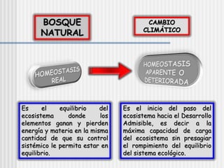 BOSQUE
NATURAL
CAMBIO
CLIMÁTICO
Es el equilibrio del
ecosistema donde los
elementos ganan y pierden
energía y materia en la misma
cantidad de que su control
sistémico le permita estar en
equilibrio.
Es el inicio del paso del
ecosistema hacia el Desarrollo
Admisible, es decir a la
máxima capacidad de carga
del ecosistema sin presagiar
el rompimiento del equilibrio
del sistema ecológico.
 