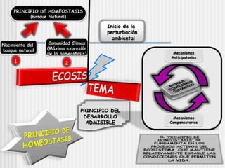 PRINCIPIO DE HOMEOSTASIS
(Bosque Natural)
Nacimiento del
bosque natural
Comunidad Climax
(Máxima expresión
de la homeostasis)
1 2
PRINCIPIO DEL
DESARROLLO
ADMISIBLE
Inicio de la
perturbación
ambiental
Mecanismos
Anticipatorios
Mecanismos
Compensatorios
 