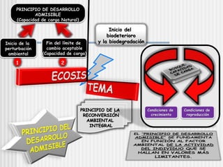 2
1
PRINCIPIO DE DESARROLLO
ADMISIBLE
(Capacidad de carga Natural)
Inicio de la
perturbación
ambiental
Fin del límite de
cambio aceptable
(Capacidad de carga)
PRINCIPIO DE LA
RECONVERSIÓN
AMBIENTAL
INTEGRAL
Inicio del
biodeterioro
y la biodegradación
Condiciones de
crecimiento
Condiciones de
reproducción
 