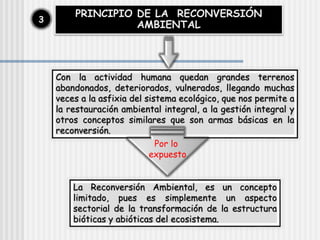 PRINCIPIO DE LA RECONVERSIÓN
AMBIENTAL
3
Con la actividad humana quedan grandes terrenos
abandonados, deteriorados, vulnerados, llegando muchas
veces a la asfixia del sistema ecológico, que nos permite a
la restauración ambiental integral, a la gestión integral y
otros conceptos similares que son armas básicas en la
reconversión.
La Reconversión Ambiental, es un concepto
limitado, pues es simplemente un aspecto
sectorial de la transformación de la estructura
bióticas y abióticas del ecosistema.
Por lo
expuesto
 