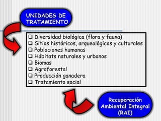 UNIDADES DE
TRATAMIENTO
Recuperación
Ambiental Integral
(RAI)
 Diversidad biológica (flora y fauna)
 Sitios históricos, arqueológicos y culturales
 Poblaciones humanas
 Hábitats naturales y urbanos
 Biomas
 Agroforestal
 Producción ganadera
 Tratamiento social
 