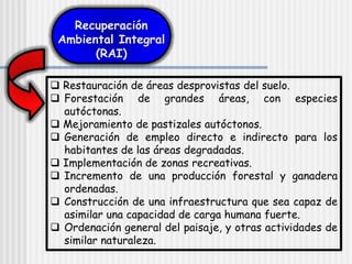  Restauración de áreas desprovistas del suelo.
 Forestación de grandes áreas, con especies
autóctonas.
 Mejoramiento de pastizales autóctonos.
 Generación de empleo directo e indirecto para los
habitantes de las áreas degradadas.
 Implementación de zonas recreativas.
 Incremento de una producción forestal y ganadera
ordenadas.
 Construcción de una infraestructura que sea capaz de
asimilar una capacidad de carga humana fuerte.
 Ordenación general del paisaje, y otras actividades de
similar naturaleza.
Recuperación
Ambiental Integral
(RAI)
 