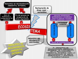 2
1
PRINCIPIO DE RECONVERSIÓN
AMBIENTAL INTEGRAL
Inicio de
biodeterioro y
biodegradación del
ecosistema
Fin del proceso de
recuperación de
áreas degradadas.
PRINCIPIO DEL
DESARROLLO
SOSTENIBLE
Restauración de
áreas cuasi -
sostenibles.
Asfixia del ecosistema Ecológico
ESPACIOS ABANDONADO,
DETERIORADOS Y VULNERADOS.
(Áreas sin vegetación, excavadas,
minadas, sedimentadas y erosionadas)
1 2
BIODETERIORO
BIODEGRADACIÓN
 