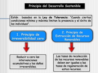 Principio del Desarrollo Sostenible
Están basados en la Ley de Tolerancia: “Cuando ciertas
condiciones mínima y máxima limitan la presencia y el éxito de
los individuos”.
1. Principio de
irreversibilidad cero
2. Principio de
Extracción de Recursos
Renovables
Reducir a cero las
intervenciones
acumulativas y los daños
irreversibles.
Las tasas de recolección
de los recursos renovables
deben ser iguales a las
tasas de regeneración de
estos recursos.
 