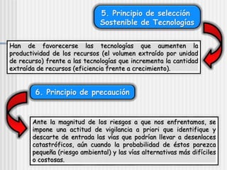 5. Principio de selección
Sostenible de Tecnologías
Han de favorecerse las tecnologías que aumenten la
productividad de los recursos (el volumen extraído por unidad
de recurso) frente a las tecnologías que incrementa la cantidad
extraída de recursos (eficiencia frente a crecimiento).
6. Principio de precaución
Ante la magnitud de los riesgos a que nos enfrentamos, se
impone una actitud de vigilancia a priori que identifique y
descarte de entrada las vías que podrían llevar a desenlaces
catastróficos, aún cuando la probabilidad de éstos parezca
pequeña (riesgo ambiental) y las vías alternativas más difíciles
o costosas.
 