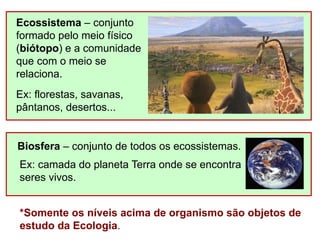 Ecossistema – conjunto
formado pelo meio físico
(biótopo) e a comunidade
que com o meio se
relaciona.
Ex: florestas, savanas,
pântanos, desertos...
*Somente os níveis acima de organismo são objetos de
estudo da Ecologia.
Biosfera – conjunto de todos os ecossistemas.
Ex: camada do planeta Terra onde se encontra
seres vivos.
 