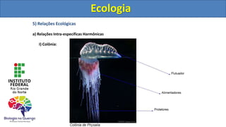 5) Relações Ecológicas
a) Relações Intra-específicas Harmônicas
I) Colônia:
Ecologia
Ecologia
 