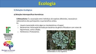 5) Relações Ecológicas
a) Relações Interespecíficas Harmônicas
I) Mutualismo: É a associação entre indivíduos de espécies diferentes, necessária à
sobrevivência dos participantes e que beneficia ambos.
Ex:
o Líquens (associação entre algas ou cianobactérias e fungos)
o Bacteriorriza: Associação formada por bactérias do gênero Rhizobium com raízes de
leguminosas, como o feijão.
o Herbívoros e Protozoários.
Ecologia
Ecologia
 
