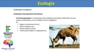 5) Relações Ecológicas
a) Relações Interespecíficas Harmônicas
II) Protocooperação: É a associação entre indivíduos de espécies diferentes em que
ambos se beneficiam, mas a existência não é obrigatória.
Ex:
o Paguro e anêmonas do mar
o Cervo e pássaro anu
o Pássaro palito e jacaré
o Insetos polinizadores e angiospermas
Ecologia
Ecologia
 