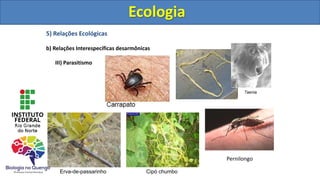 5) Relações Ecológicas
b) Relações Interespecíficas desarmônicas
III) Parasitismo
Ecologia
Erva-de-passarinho Cipó chumbo
Pernilongo
Ecologia
 