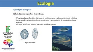 5) Relações Ecológicas
b) Relações Interespecíficas desarmônicas
IV) Amensalismo: Também chamado de antibiose, uma espécie denominada inibidora
libera substâncias que impedem o crescimento e a reprodução de outra denominada
amensal.
Ex: Algas pirrófitas e animais marinhos (Maré vermelha).
Ecologia
Algas Pirrófitas
Ecologia
 