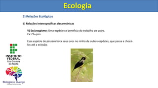 5) Relações Ecológicas
b) Relações Interespecíficas desarmônicas
V) Esclavagismo: Uma espécie se beneficia do trabalho de outra.
Ex: Chupim.
Essa espécie de pássaro bota seus ovos no ninho de outras espécies, que passa a chocá-
los até a eclosão.
Ecologia
Ecologia
 