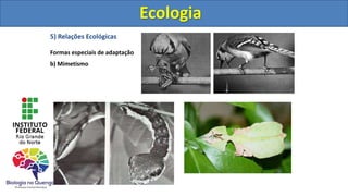 5) Relações Ecológicas
Formas especiais de adaptação
b) Mimetismo
Ecologia
Ecologia
 