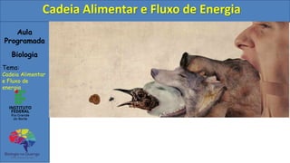 Aula
Programada
Biologia
Tema:
Cadeia Alimentar
e Fluxo de
energia
Cadeia Alimentar e Fluxo de Energia
 