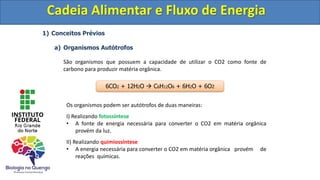 1) Conceitos Prévios
a) Organismos Autótrofos
São organismos que possuem a capacidade de utilizar o CO2 como fonte de
carbono para produzir matéria orgânica.
Os organismos podem ser autótrofos de duas maneiras:
I) Realizando fotossíntese
• A fonte de energia necessária para converter o CO2 em matéria orgânica
provém da luz.
II) Realizando quimiossíntese
• A energia necessária para converter o CO2 em matéria orgânica provém de
reações químicas.
Cadeia Alimentar e Fluxo de Energia
6CO2 + 12H2O  C6H12O6 + 6H2O + 6O2
Cadeia Alimentar e Fluxo de Energia
 