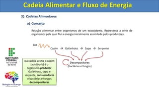 2) Cadeias Alimentares
a) Conceito
Relação alimentar entre organismos de um ecossistema. Representa a série de
organismos pela qual flui a energia inicialmente assimilada pelos produtores.
Luz
Capim  Gafanhoto  Sapo  Serpente
Decompositores
(bactérias e fungos)
Cadeia Alimentar e Fluxo de Energia
Toda cadeia alimentar
possui 3 componentes:
I) Produtores
II) Consumidores
III) Decompositores
Os Produtores
São sempre
representados pelos
organismos autótrofos
(Fotossintetizantes ou
Quimiossintetizantes)
Os consumidores
São sempre heterótrofos
São representados pelos
organismos carnívoros ou
herbívoros de um
ecossitema.
Os decompositores são
também heterótrofos,
porém são os únicos
capazes de converter a
matéria orgânica em
compostos inorgânicos
simples.
Na cadeia acima o capim
(autótrofo) é o
organismo produtor.
Gafanhoto, sapo e
serpente, consumidores
e bactérias e fungos
decompositores
Cadeia Alimentar e Fluxo de Energia
 