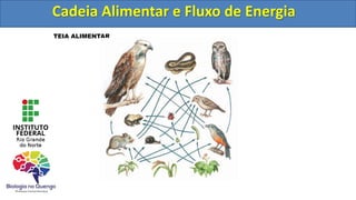 TEIA ALIMENTAR
Cadeia Alimentar e Fluxo de Energia
Cadeia Alimentar e Fluxo de Energia
 