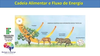 Cadeia Alimentar e Fluxo de Energia
Cadeia Alimentar e Fluxo de Energia
 