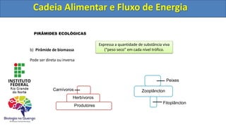 Cadeia Alimentar e Fluxo de Energia
PIRÂMIDES ECOLÓGICAS
b) Pirâmide de biomassa
Pode ser direta ou inversa
Produtores
Herbívoros
Carnívoros
Fitoplâncton
Zooplâncton
Peixes
Expressa a quantidade de substância viva
(“peso seco” em cada nível trófico.
Cadeia Alimentar e Fluxo de Energia
 