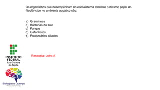 Resposta: Letra A
Os organismos que desempenham no ecossistema terrestre o mesmo papel do
fitoplâncton no ambiente aquático são:
a) Gramíneas
b) Bactérias do solo
c) Fungos
d) Gafanhotos
e) Protozoários ciliados
 