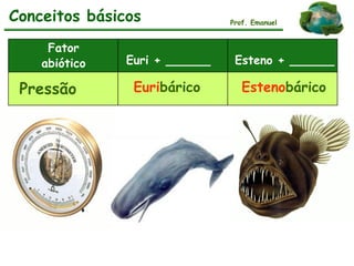 Prof. Emanuel
Fator
abiótico Euri + ______ Esteno + ______
Euribárico EstenobáricoPressão
Conceitos básicos
 