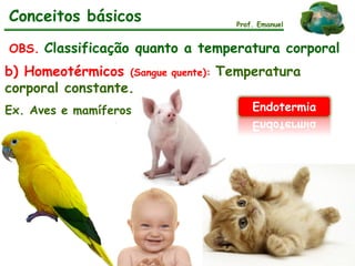 b) Homeotérmicos (Sangue quente): Temperatura
corporal constante.
Ex. Aves e mamíferos
OBS. Classificação quanto a temperatura corporal
Prof. Emanuel
Endotermia
Conceitos básicos
 