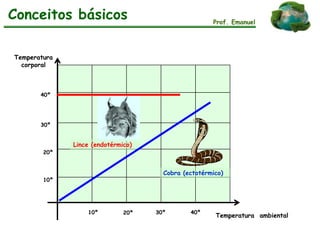 Prof. Emanuel
10º 20º 30º 40º
10º
20º
30º
40º
Lince (endotérmico)
Cobra (ectotérmico)
Temperatura ambiental
Temperatura
corporal
Conceitos básicos
 