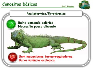 Prof. Emanuel
Pecilotermico/Ectotérmico
Baixa demanda calórica
Necessita pouco alimento
Sem mecanismos termorreguladores
Baixa valência ecológica
Conceitos básicos
 