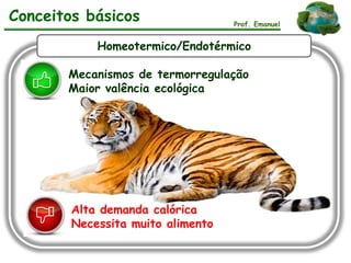 Prof. Emanuel
Homeotermico/Endotérmico
Mecanismos de termorregulação
Maior valência ecológica
Alta demanda calórica
Necessita muito alimento
Conceitos básicos
 