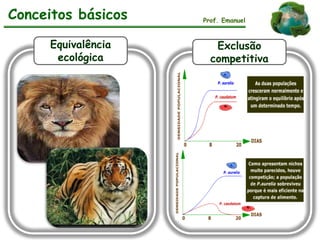 Conceitos básicos Prof. Emanuel
Equivalência
ecológica
Exclusão
competitiva
 