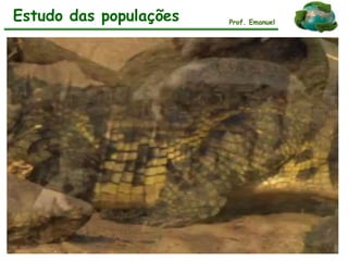 Estudo das populações Prof. Emanuel
 