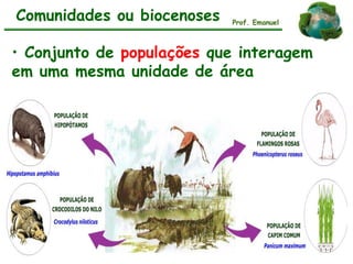 • Conjunto de populações que interagem
em uma mesma unidade de área
Comunidades ou biocenoses Prof. Emanuel
 