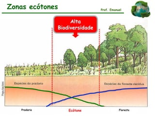 Zonas ecótones Prof. Emanuel
Pradaria FlorestaEcótone
Alta
Biodiversidade
 
