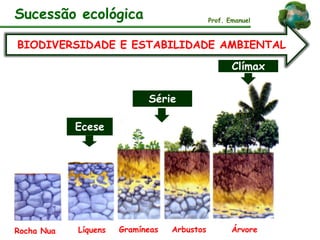 Sucessão ecológica Prof. Emanuel
Rocha Nua
Ecese
Líquens Gramíneas Arbustos Árvore
BIODIVERSIDADE E ESTABILIDADE AMBIENTAL
Série
Clímax
 